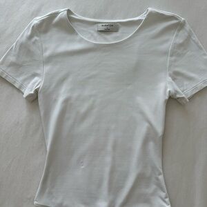 Aritzia Babaton Bodysuit